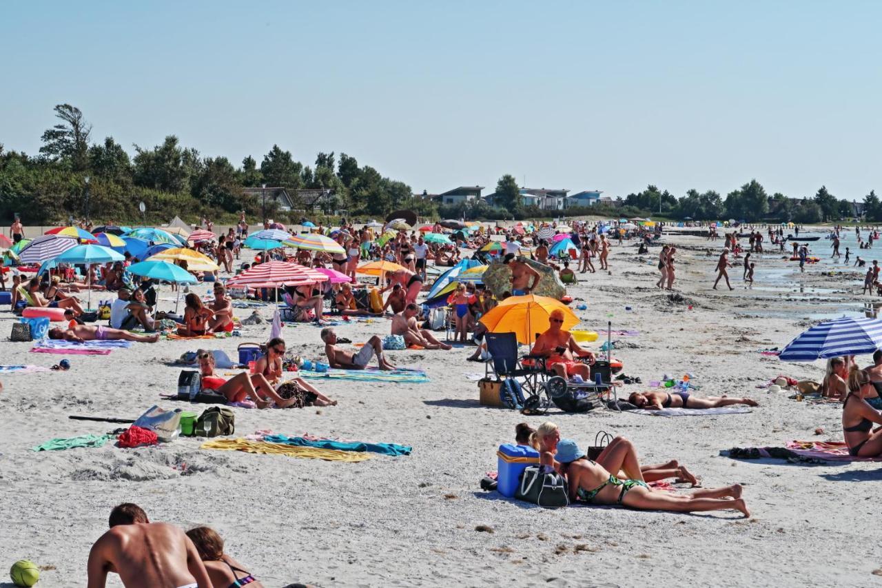Ferienwohnung Direkt Am Strand In Makkum Exterior foto
